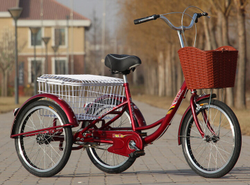 24 Inch Tricycle with Rear Steel Basket