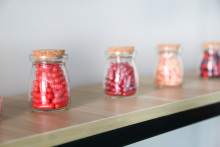 Empty Hard Gelatin Capsules