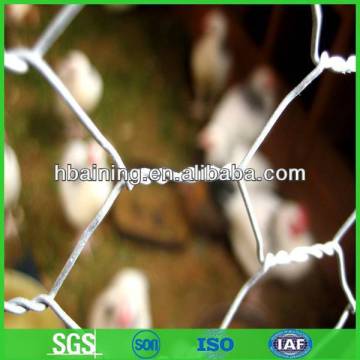 White plastic chicken wire fence