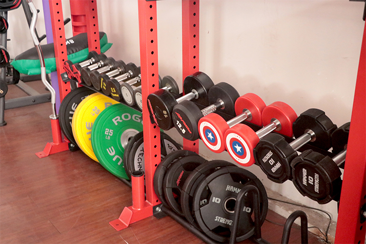 gym dumbbells