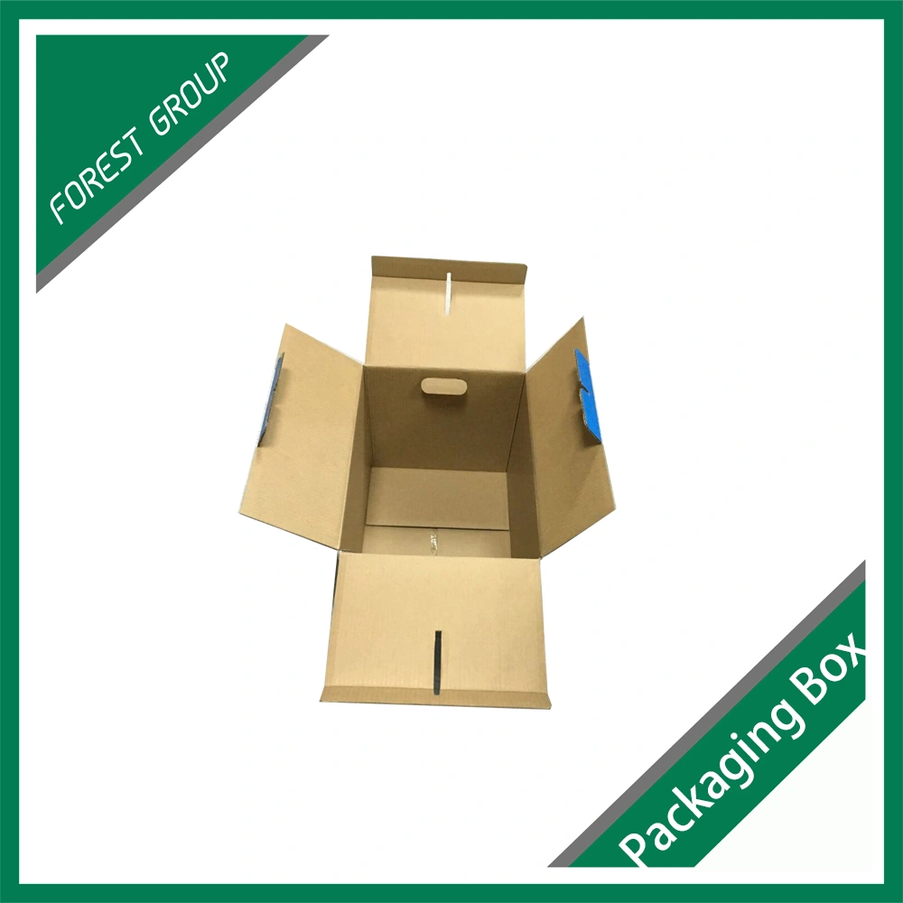 Full Print Green Display Paper Box with Many Dividers