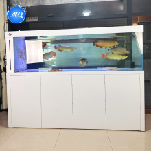 Advanced Filtration System for Large Aquariums