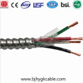 Καλώδιο MC 1kv 12-2 AWG Καλυμμένο καλώδιο BX