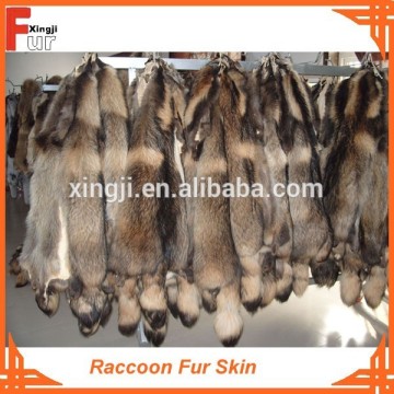 Real & Dressed Raccoon Fur Skin