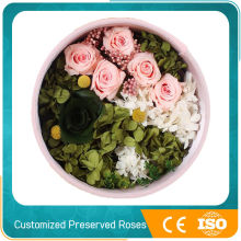 cheap handmade customized preserved roses