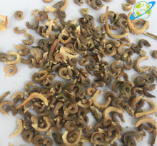 High germination calendula officinalis flower seeds