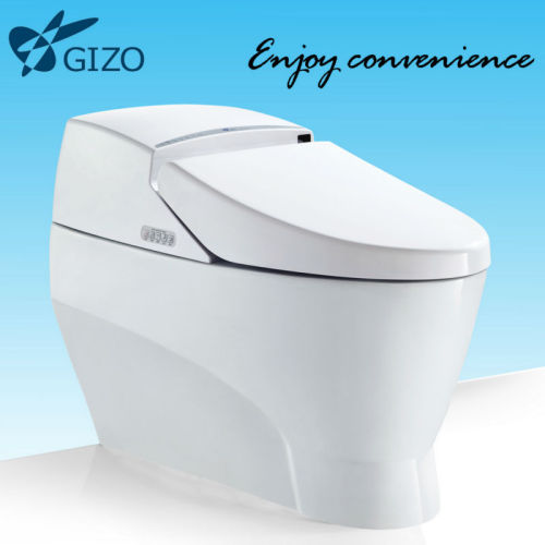 auto lid and energy saving bathroom