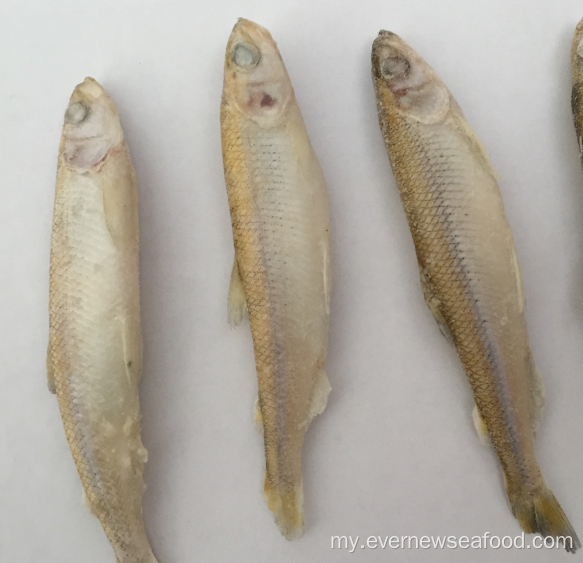 ရေကန်တစ်ခုလုံး သန့်စင်ထားသော ငါး Iqf အေးခဲထားသော ပင်လယ်စာများ