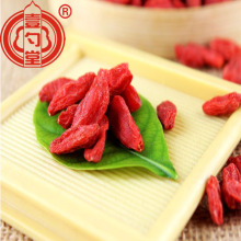 Buah-buahan goji berry kering konvensional yang sihat