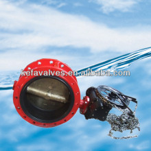 Double flanged butterfly valve with chain