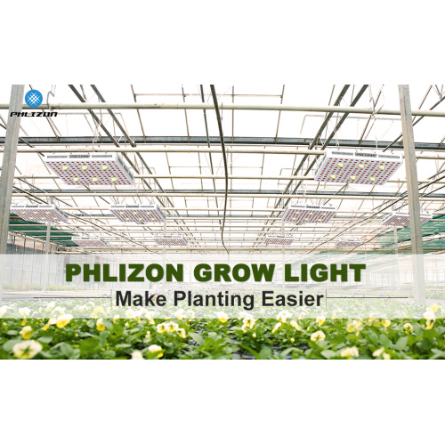 Vollspektrum LED Grow Lights für Pflanzen