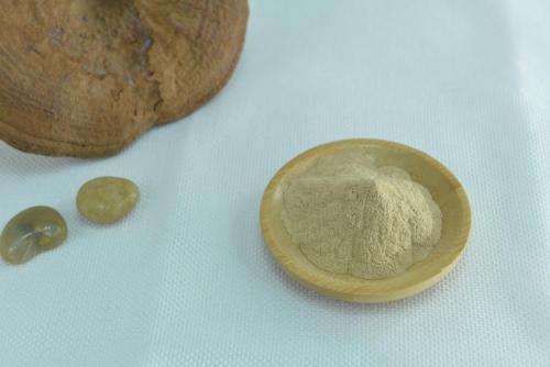 100% Natural Herbal Organic Red Ginseng Extract Powder