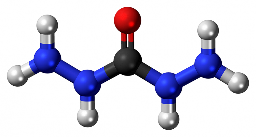 Beyaz Karbohidrazid CAS 497-18-7