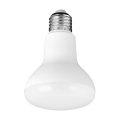 LED PAR LAMP PAR BOMBILLA DE CORRILLADOR CONSTRANTE