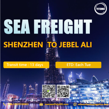 Freight di mare da Shenzhen a Jebel Ali