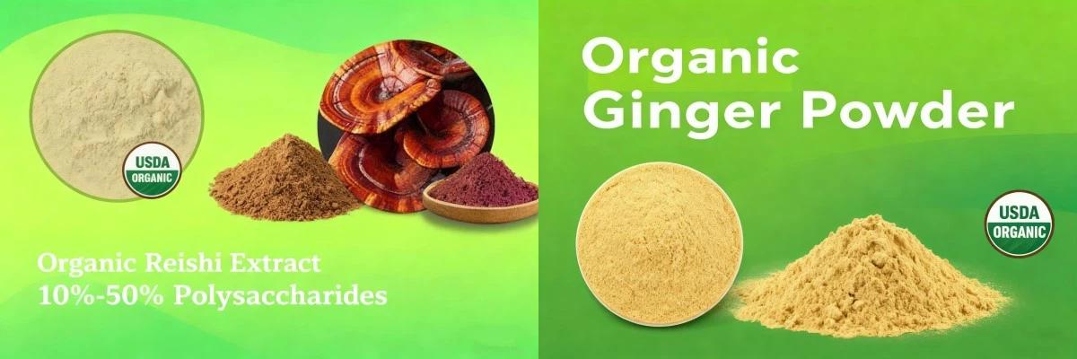 Органски ђумбир у праху Organic Ginger Powder