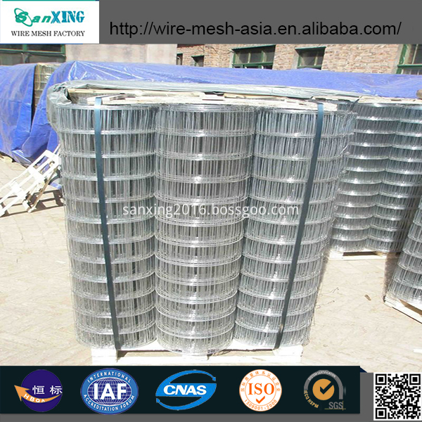 Galvanized-Welded-Wire-Mesh