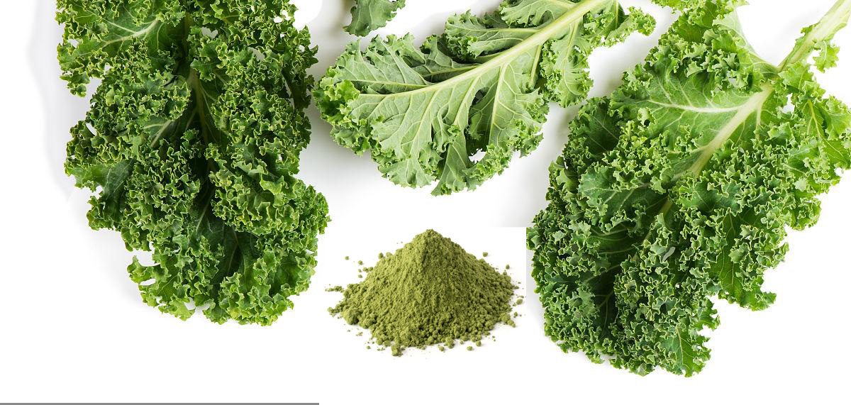 freeze dried kale powder