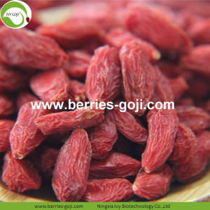 Schudnąć Suszone Natural Healthy Tibet Wolfberry