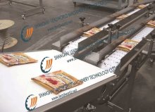 Chain Belt Conveyor