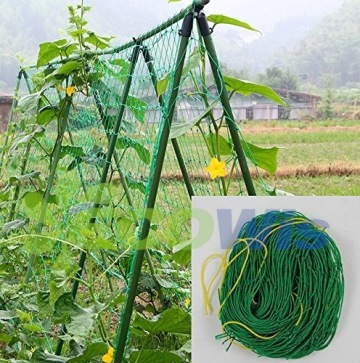 Nylon Netting for Climbing Plants