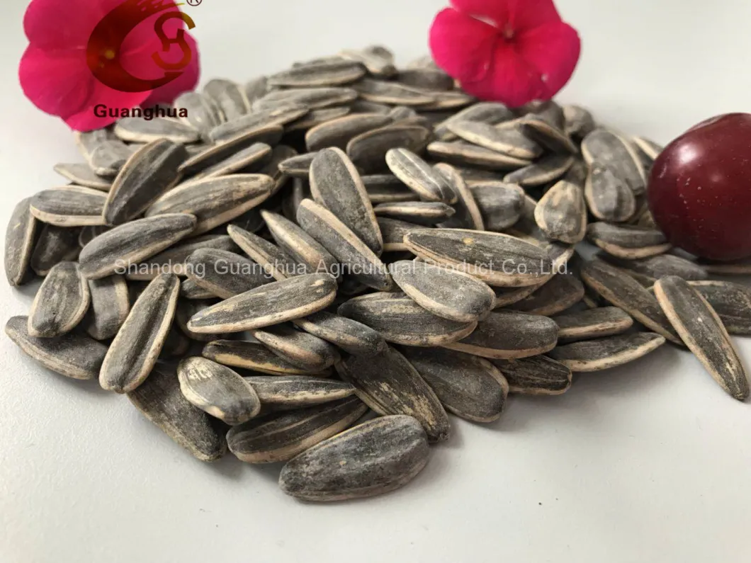 Caramel Flavor Roasted Sunflower Seeds for Sale Bulk Price