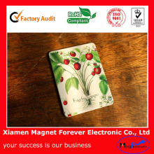 4 Colour Printed Tin Plate Fridge Magnet