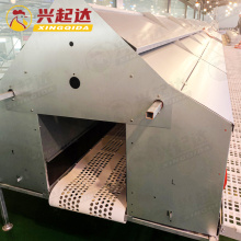 Hot Galvanized Automatic Nesting Box with Egg Collection System