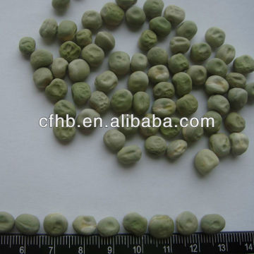 Peas/green pea/dry green pea