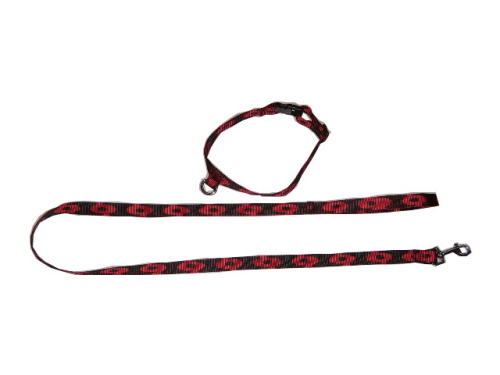 dog collar/leash ;pet product