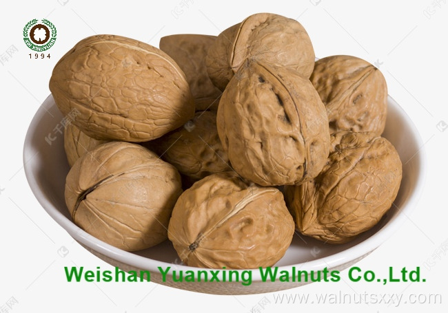 Wholesale Chinese Walnut Kernels Pieces(LP) Light color