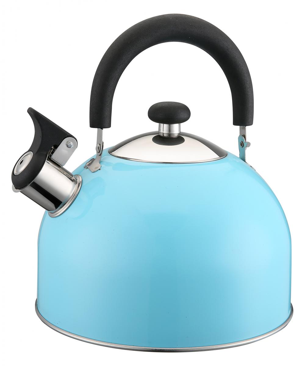 Painting Sky Blue Whistling Kettle