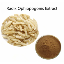 Buy online active ingredients Radix Ophiopogonis Extract