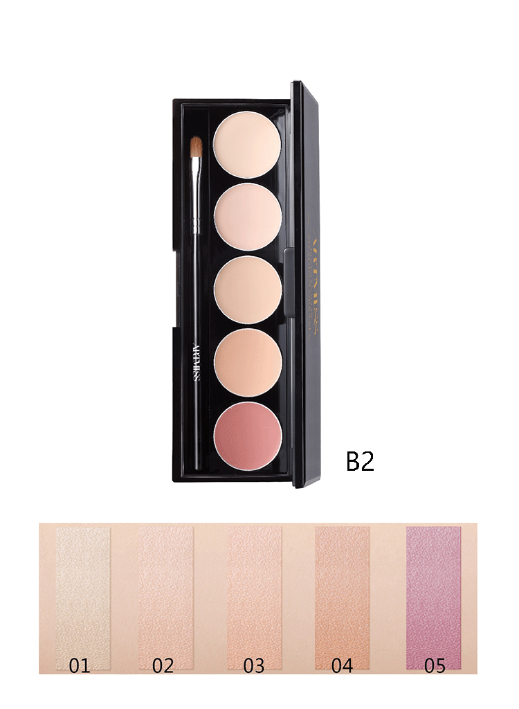 5 Colors full coverage concealer palette