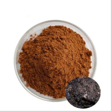 Pure Natural Shilajit Extract Shilajit Powder