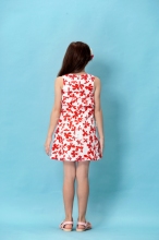 Gorgeous Girls′dresses Baby Girl Dresses Mf16272