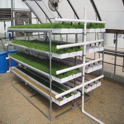 Sistema di coltivazione idroponica foraggio ProFeed