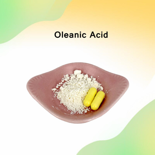 Low price Oleanic Acid 98%/Oleanolic Acid Extract