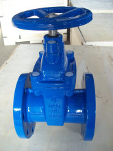 Resilient Seated Gate Valve
