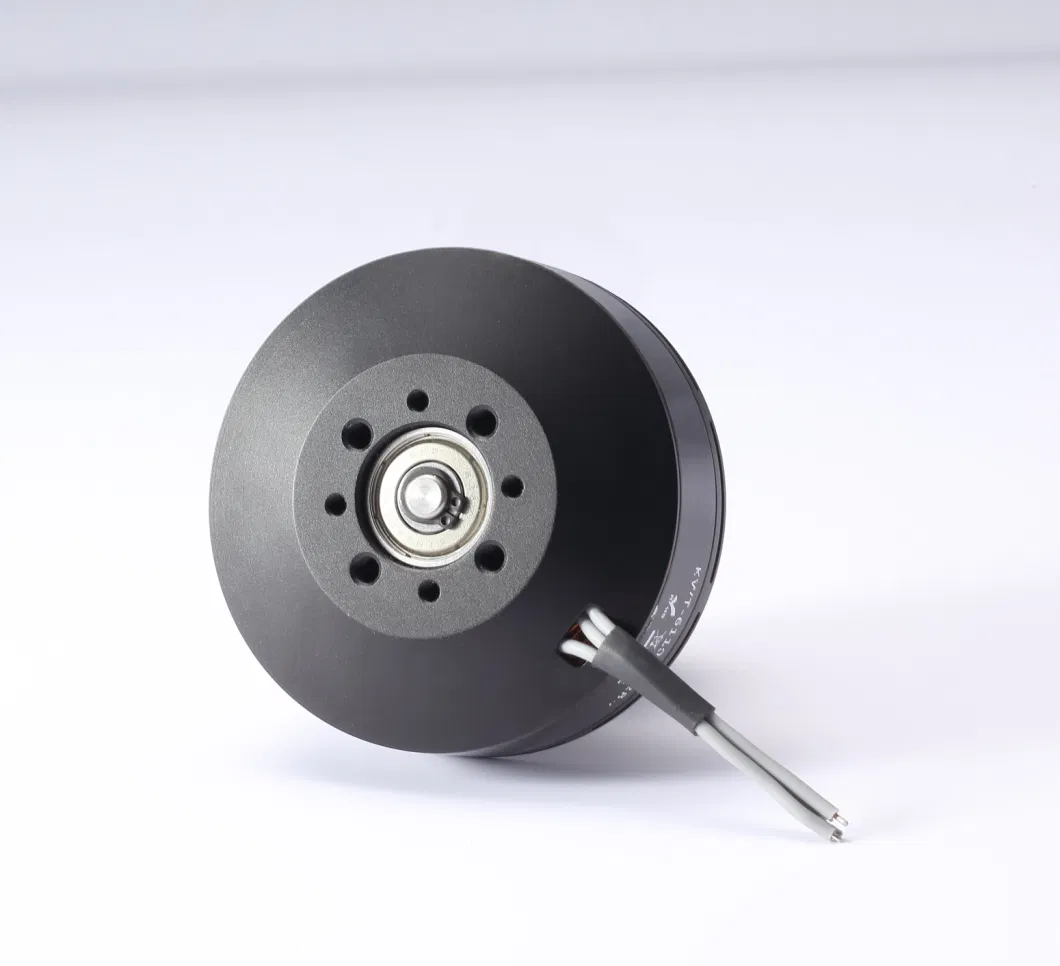 Brushless DC Electric Montor for Unmanned Aerial Vehicles