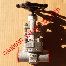 Reduce Bore Stainless Steel F304 Globe Valve, Sw, 800lb