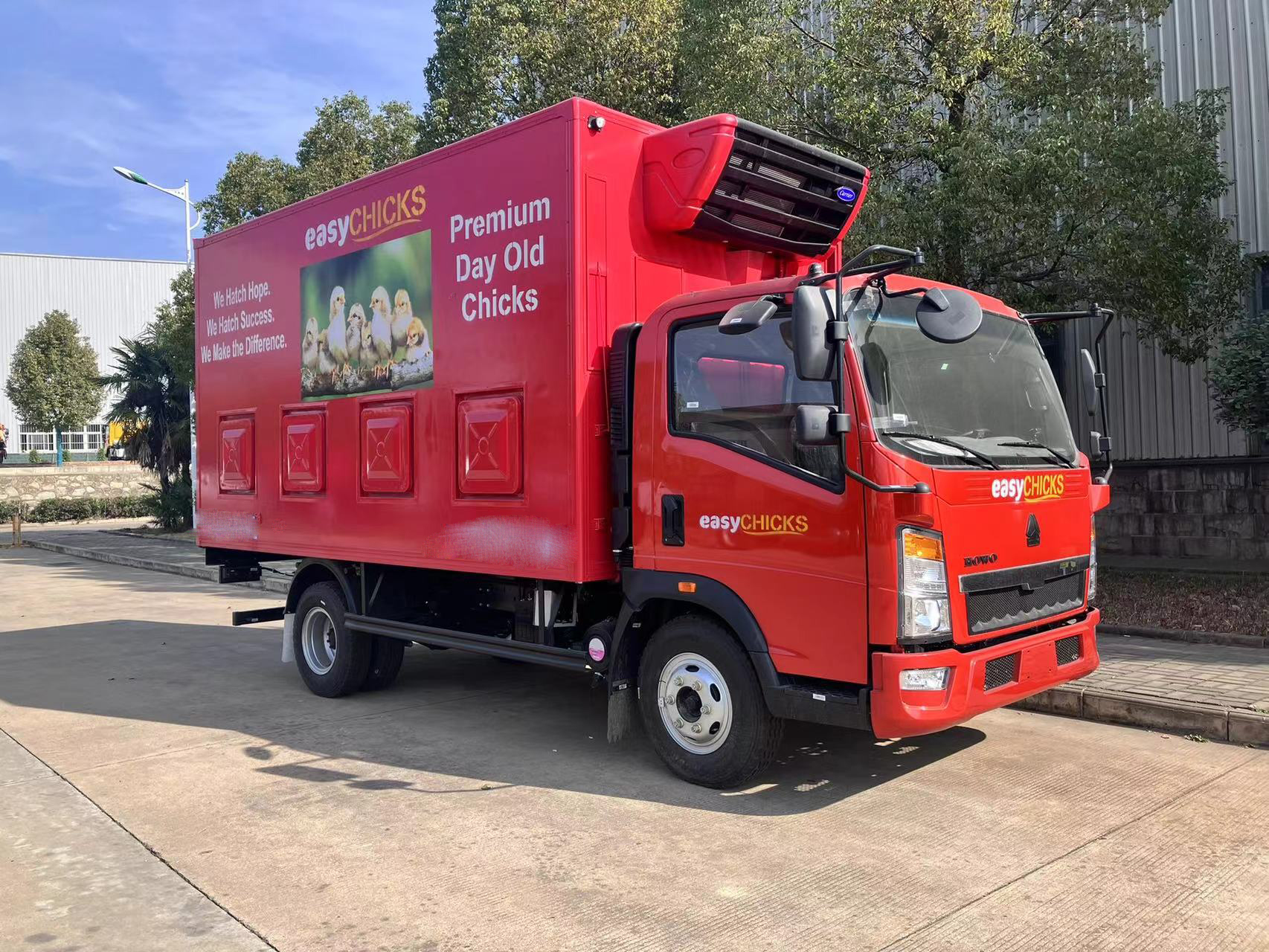 Carrier de pollitos (4) Baby Chick Carrier (4)