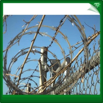 Galvanized  Concertina Coils Razor Wire