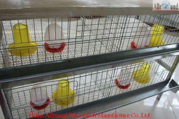 Chicken raising cage