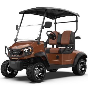 Affordable 2-Seater Motorized Golf Caddy: Lithium-Powered Electric Golf Cart for Sale