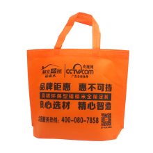 Environmental Print Non Woven Garment Bag