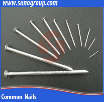 Custom-made High Quality nail cleaning brush