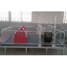 Pigs Farrow Crate