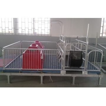 Pigs Farrow Crate