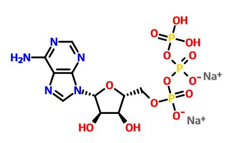 CAS 56-65-5